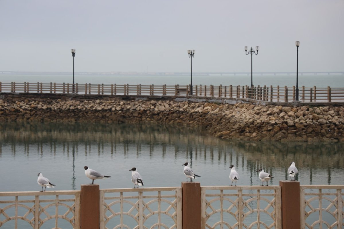 יצחק הורוביץ עיתון בקהילה