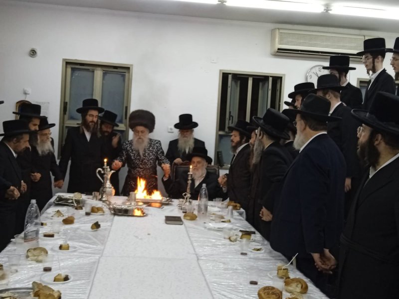 מאיר פרידמן