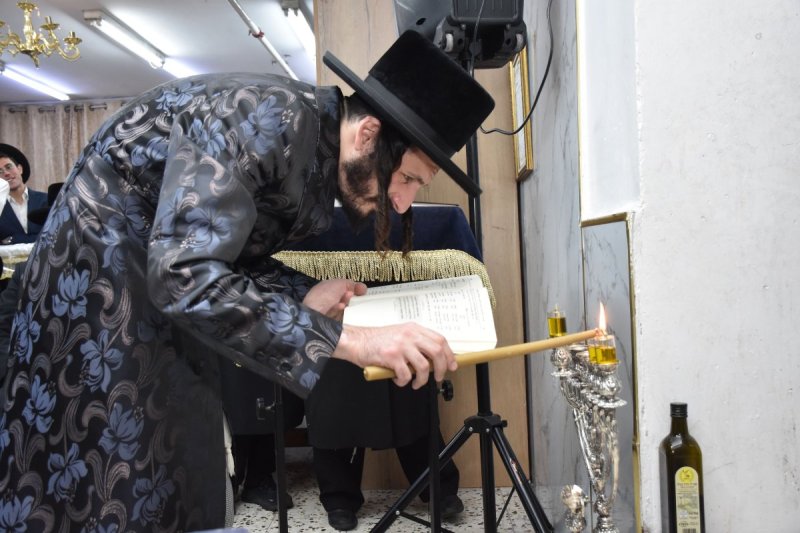 יהודה פרקוביץ