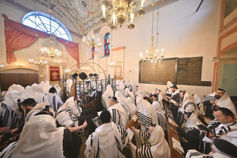 יהושע פרוכטר