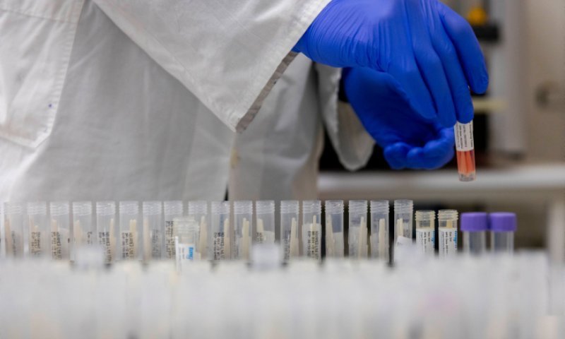 הוסתרו בנייר טואלט: נכשל ניסיון הברחת 2,000 נמלים