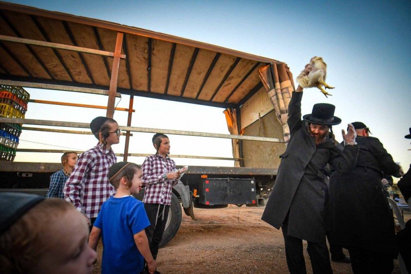 ארי קופרשטוק