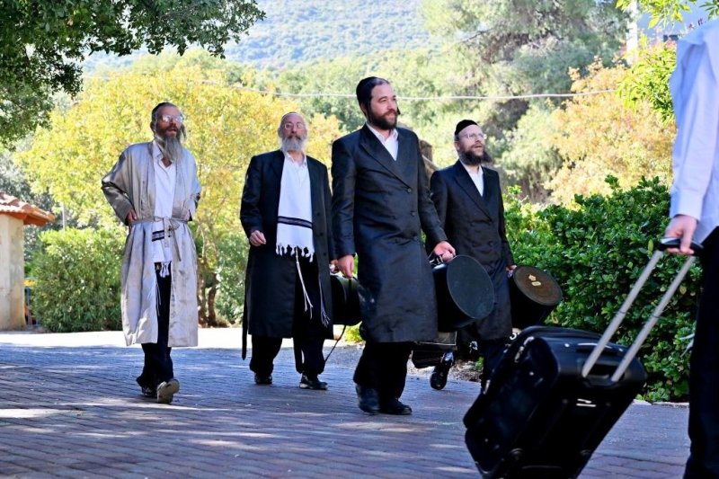 יהושע פרוכטר