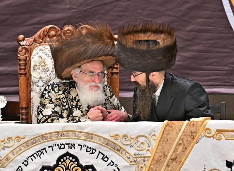 יהושע פרוכטר