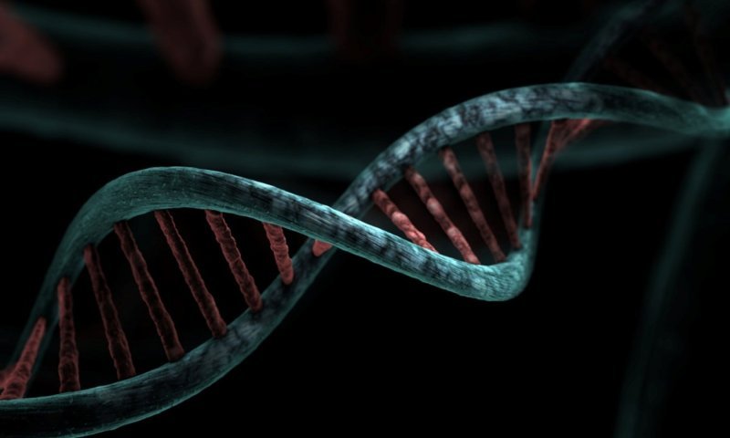 המחשב של העתיד? המדענים הפכו DNA להתקן זיכרון