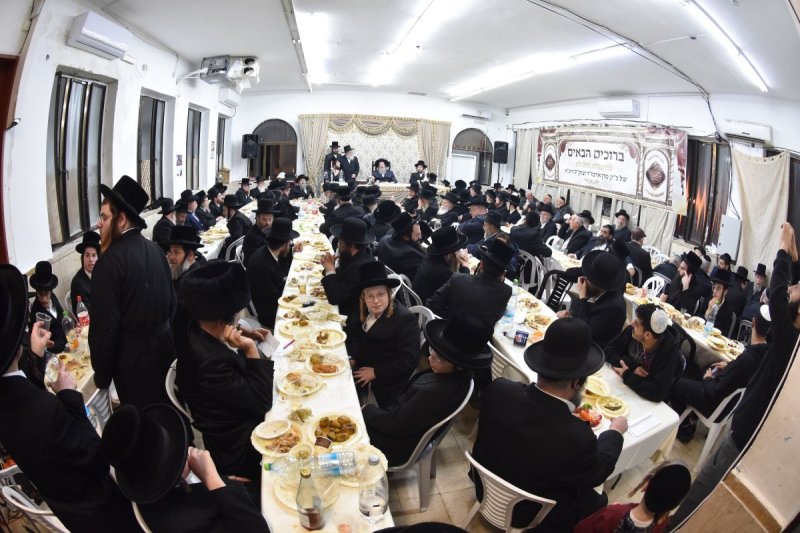 יהודה פרקוביץ