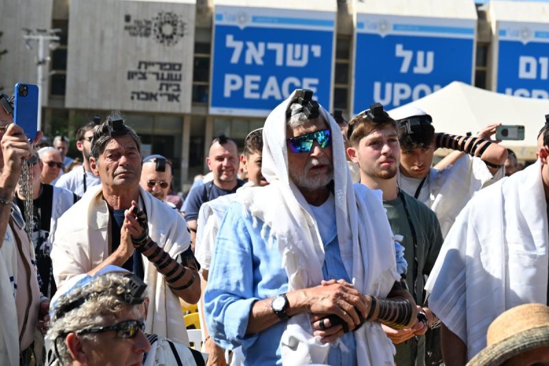 פאולינה פטימר