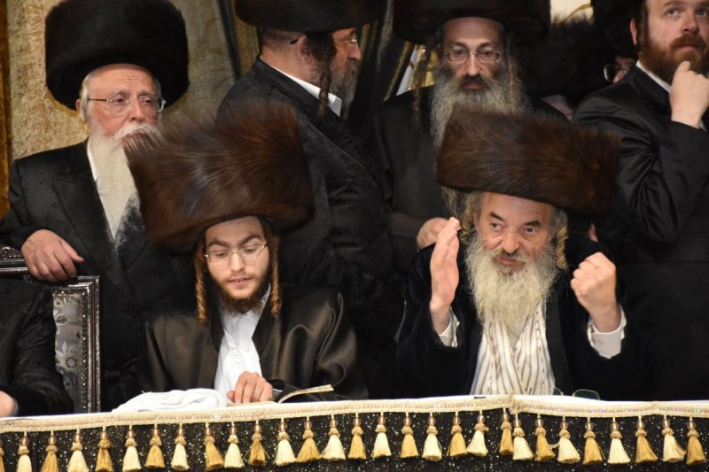 יהודה פרקוביץ