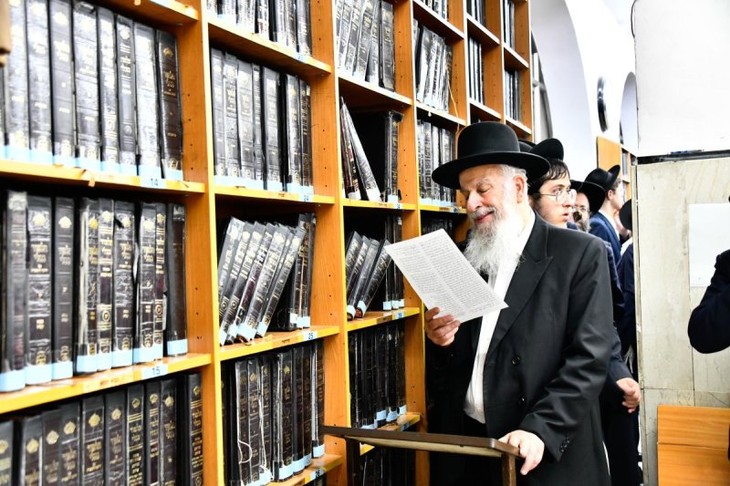 שוקי לרר