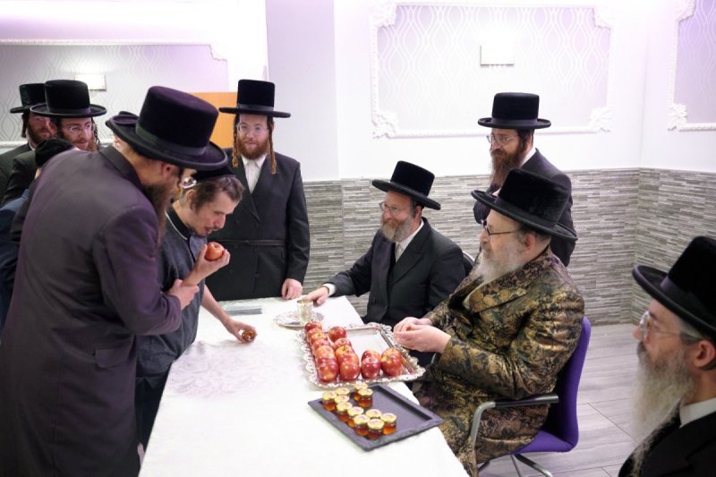 דודי בראון