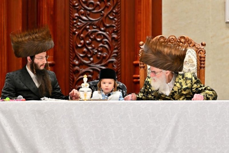 יהושע פרוכטר