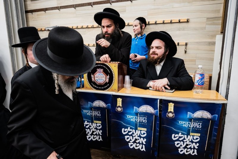 י. שטיין