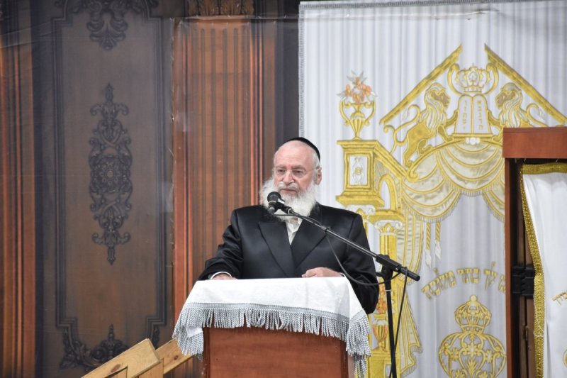 יהודה פרקוביץ