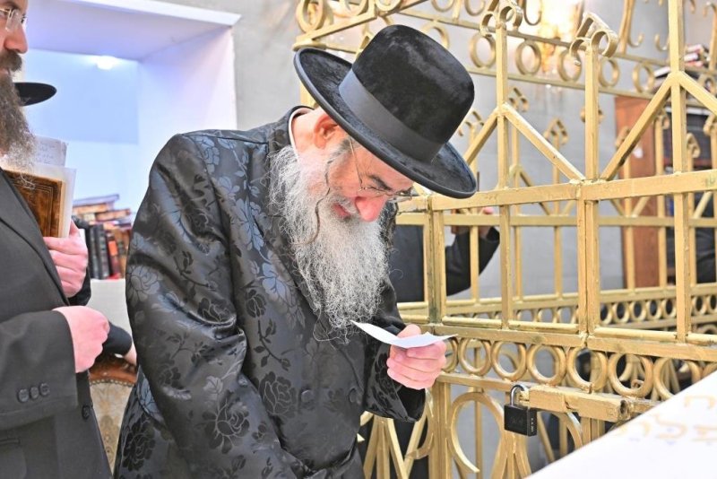 יהושע פרוכטר