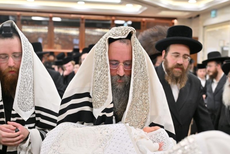 יהושע פרוכטר