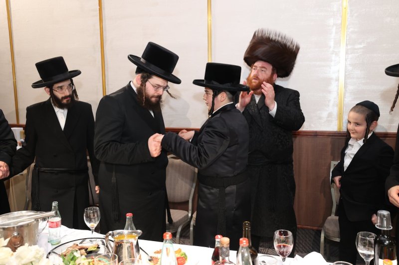 שלומי כהן