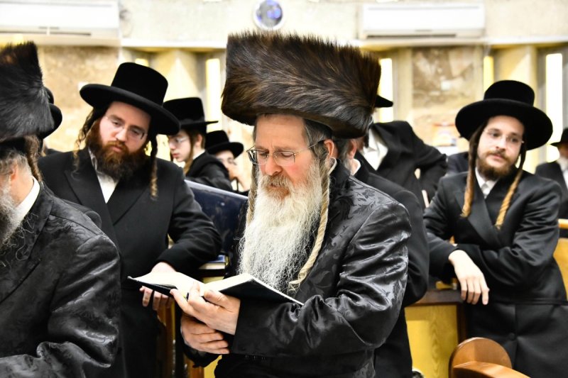 שוקי לרר