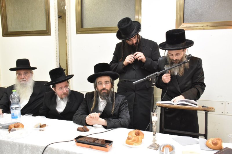 יהודה פרקוביץ