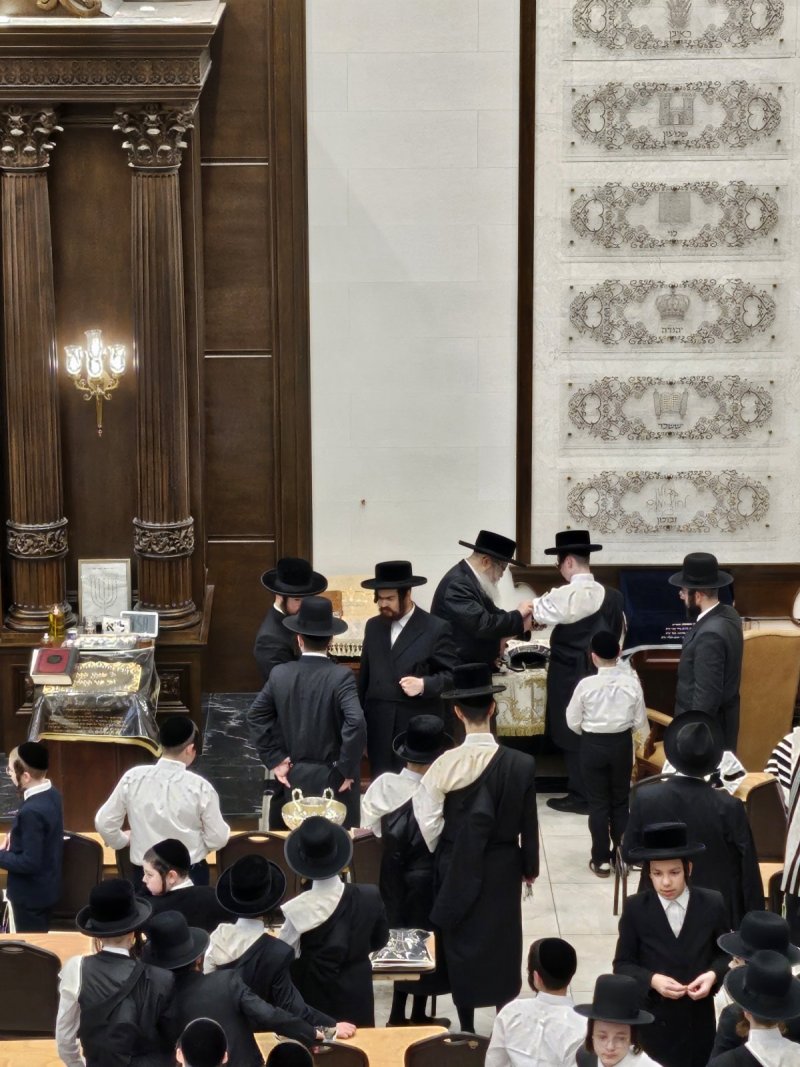 באדיבות המצלם