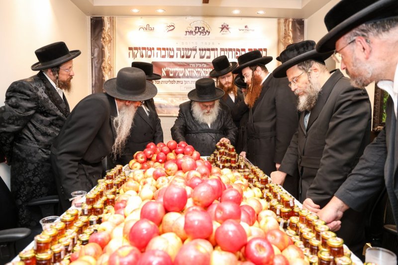 דוד ארזני