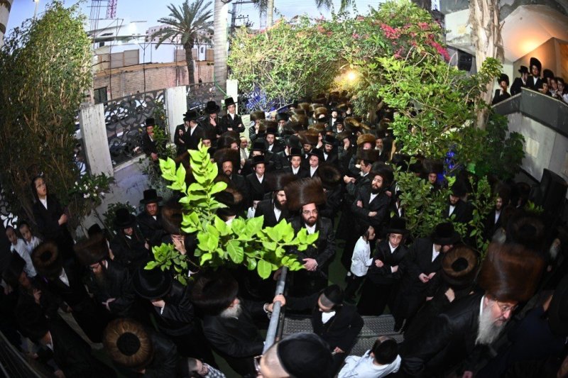 שוקי לרר