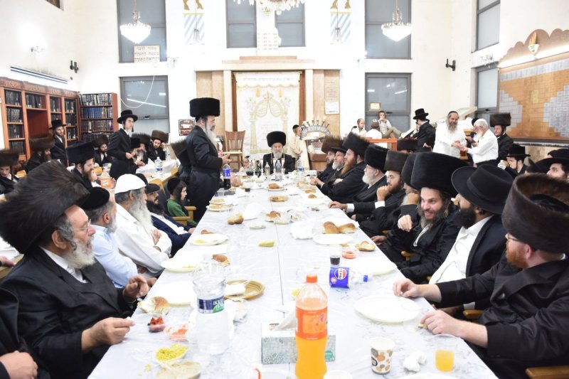 יהודה פרקוביץ