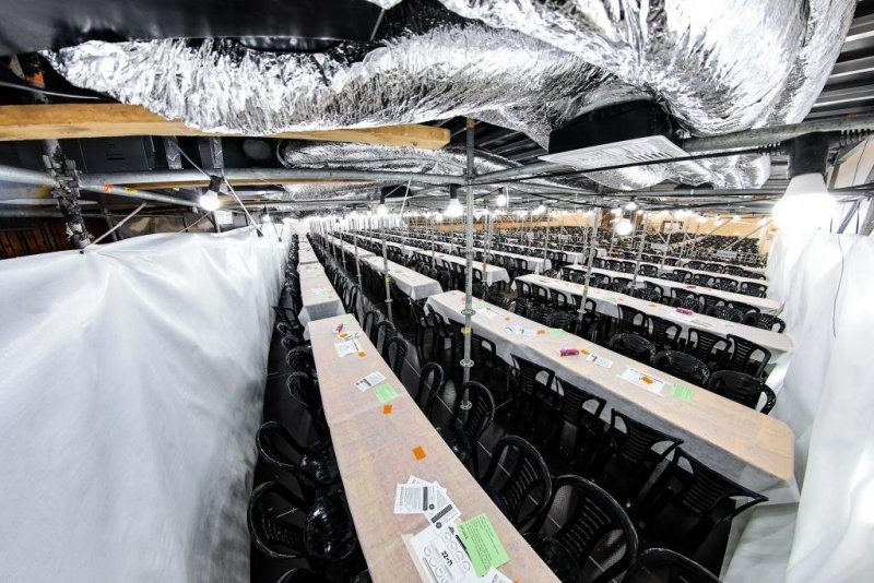 משה גולדשטיין