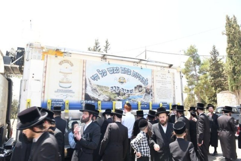 אנשיל בעק וא.מ.ש