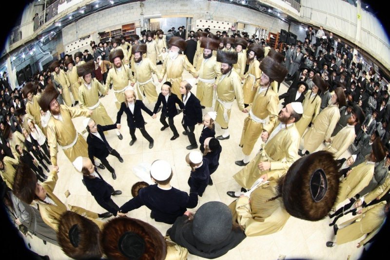 שלומי טריכטר