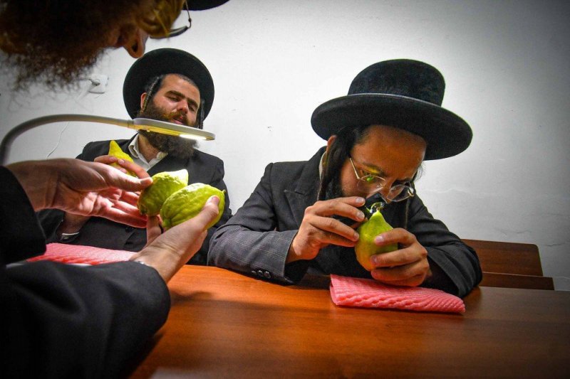 ארי קופרשטוק