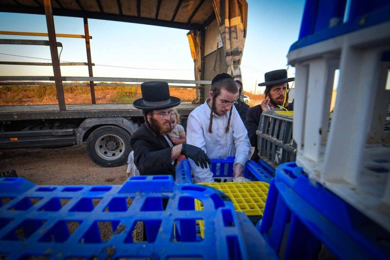 ארי קופרשטוק