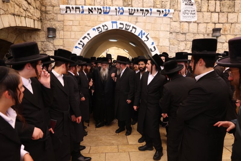 דוד כהן