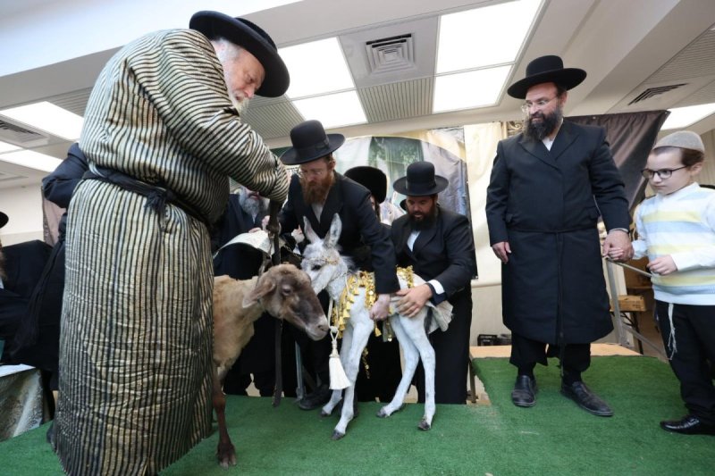 באדיבות המצלם