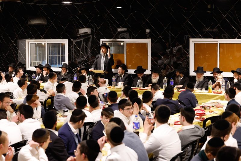 שמוליק קורלנסקי