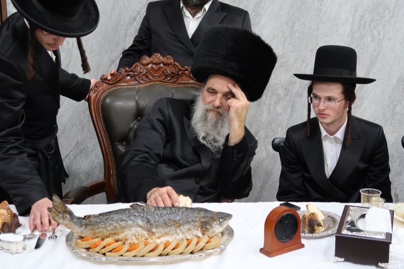 באדיבות המצלם