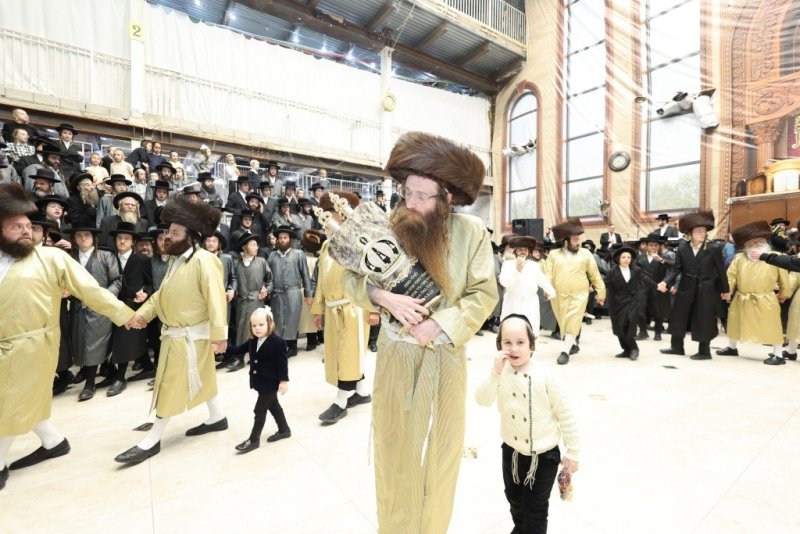 שלומי טריכטר