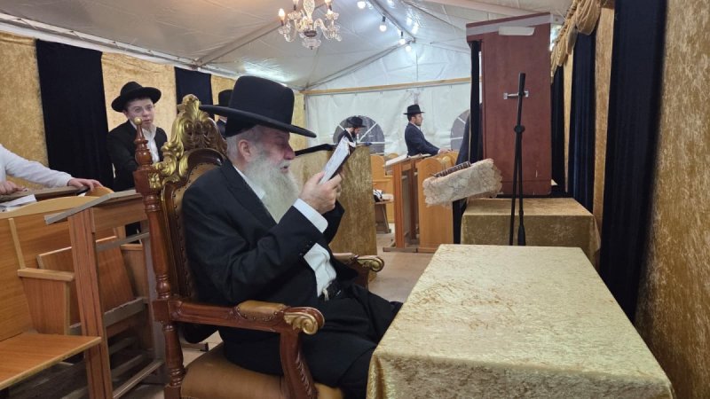 באדיבות המצלם