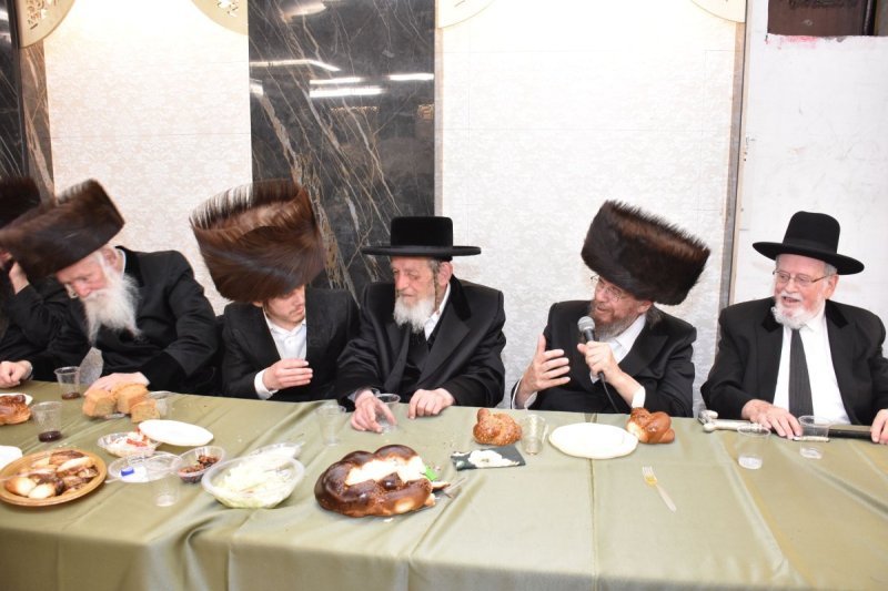 יהודה פרקוביץ