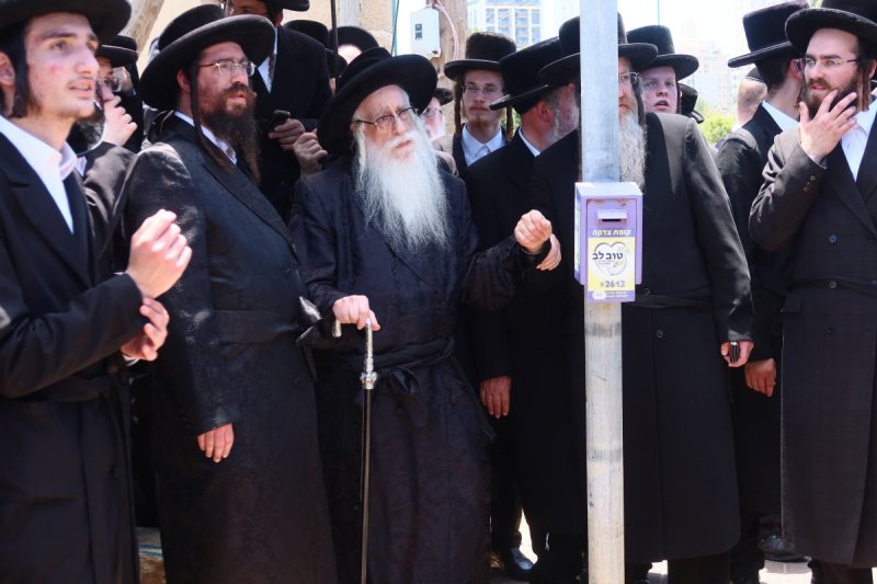 באדיבות המצלם