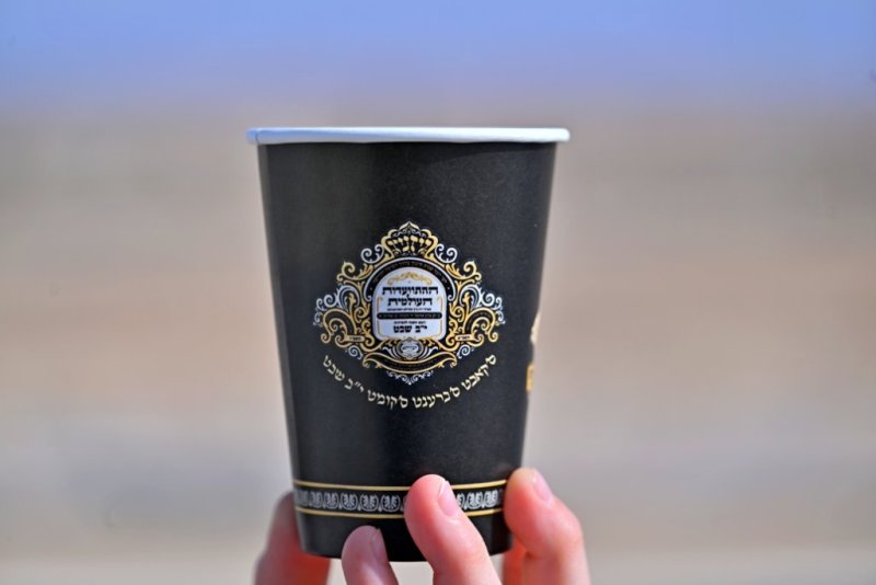 יהושע פרוכטר