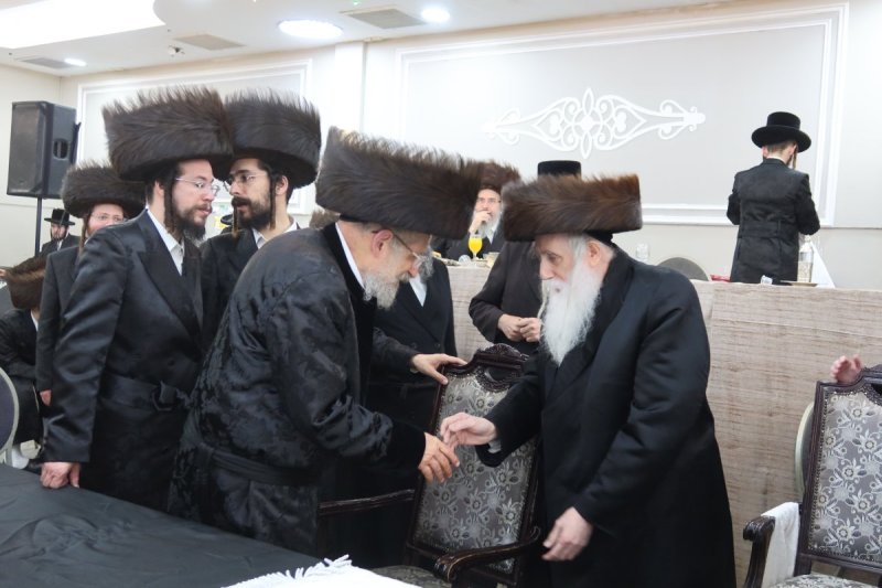 שימי פ.