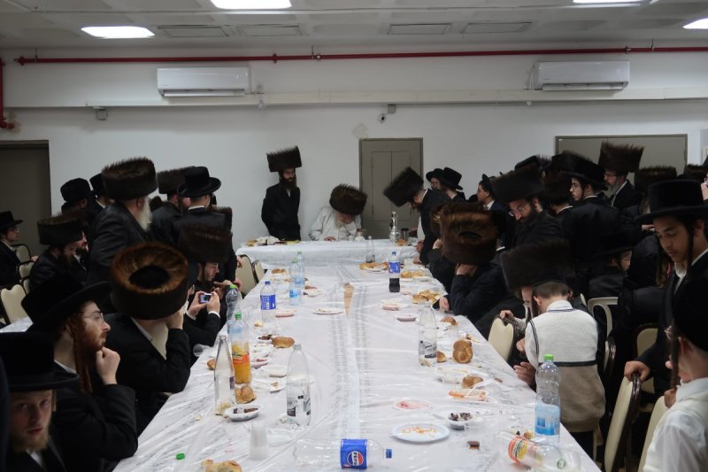 שימי פ.
