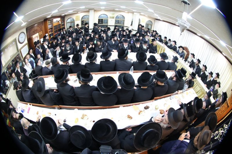 שלומי טריכטר