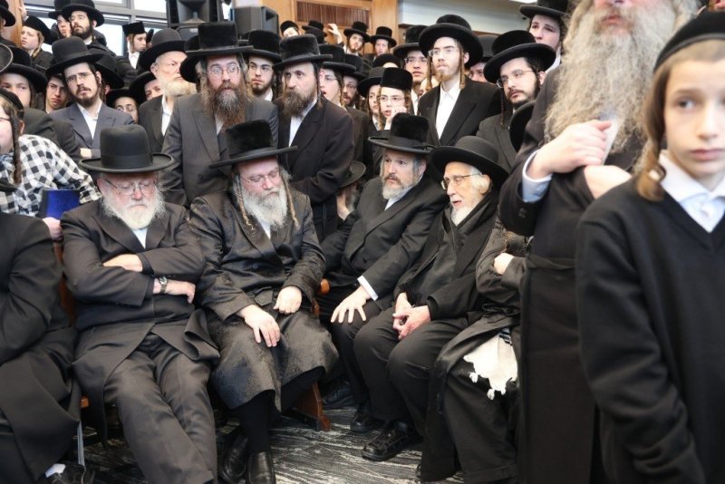 שלומי טריכטר