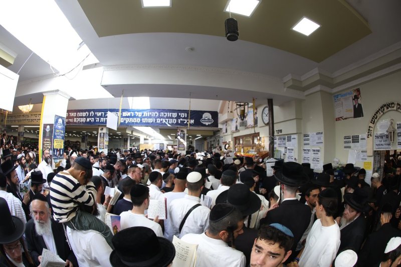 יהודה וויס
