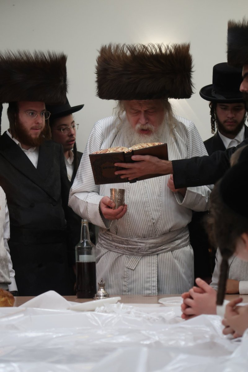 שימי פ.