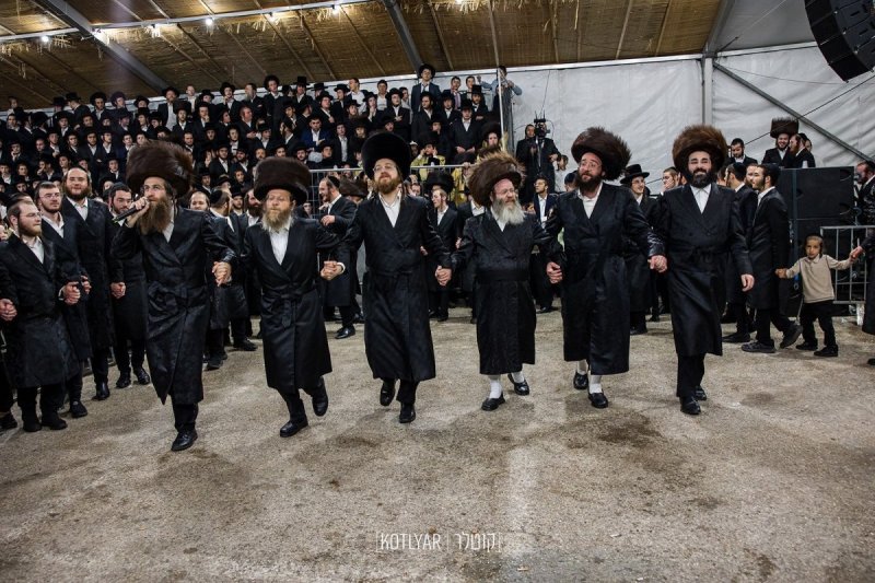 מענדי קוטלר