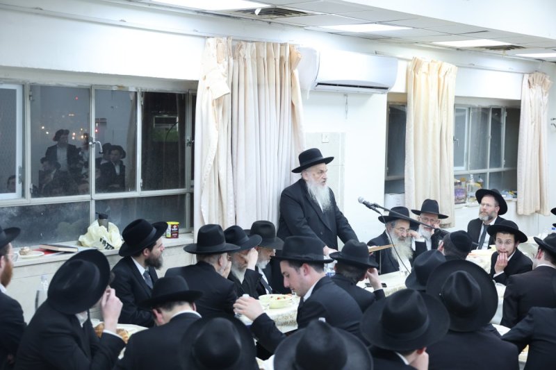 שלומי טריכטר