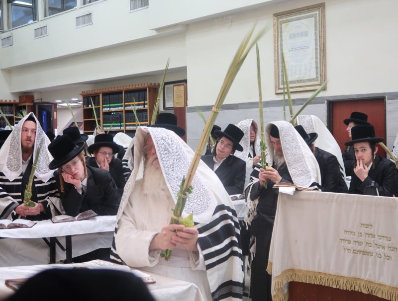 דוד ארזני וארי קופרשטוק