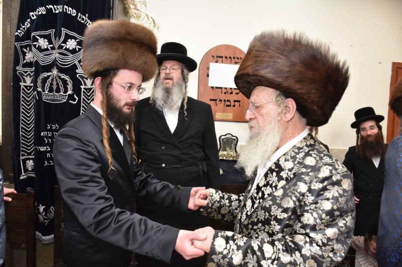 יהודה פרקוביץ